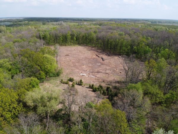 Milwaukee Land Clearing
